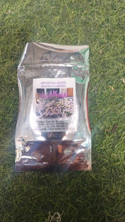 Shade-Tolerant & Cold-Hardy Hosta Flower Seeds | Ornamental Garden Seeds for Indoor & Outdoor Planting