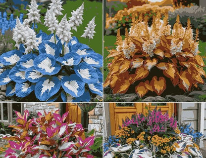 Shade-Tolerant & Cold-Hardy Hosta Flower Seeds | Ornamental Garden Seeds for Indoor & Outdoor Planting